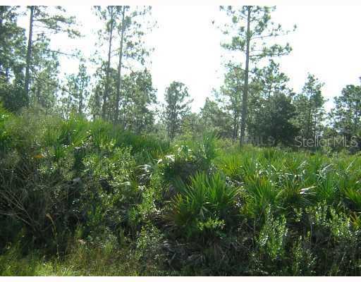 Quinella St., Other, FL 32833