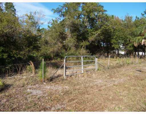 Bob White Tr., Chuluota, FL 32766