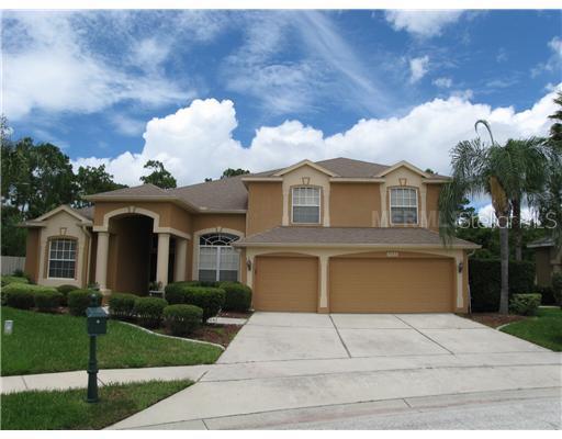 9353 Shadow Pinar Ct., Orlando, FL 32825