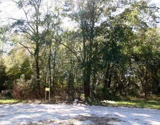 4162 Oakridge Ct., DeLand, FL 32724