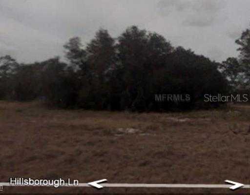 1310 Hillsborough Ln., Kissimmee, FL 34759