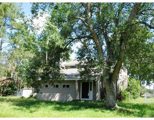 1315 Palm Dr., Apopka, FL 32703