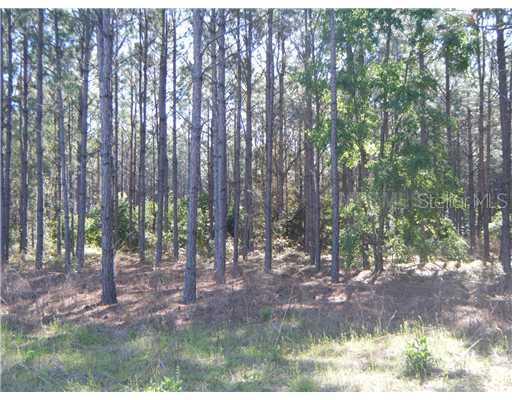 [Address Hidden by Seller], Clermont, FL 34711