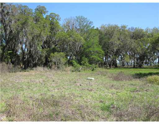 10303 Hart Branch Cir., Orlando, FL 32832