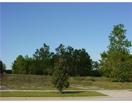524 Palm Ave., Eustis, FL 32726