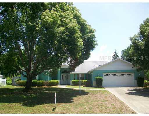 28646 Tammi Dr., Tavares, FL 32778