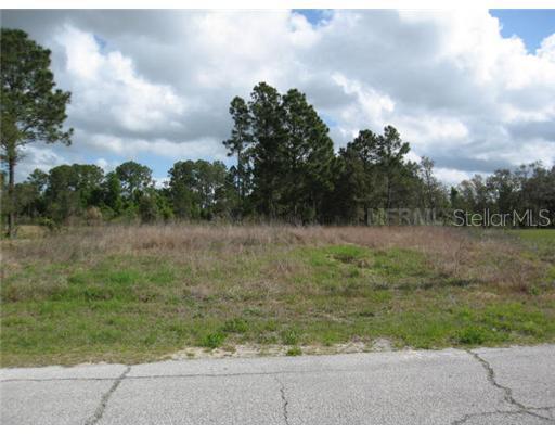 699 Gila Dr., Kissimmee, FL 34759