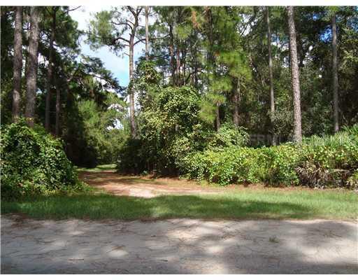 22396 W Loop Rd., Groveland, FL 34736