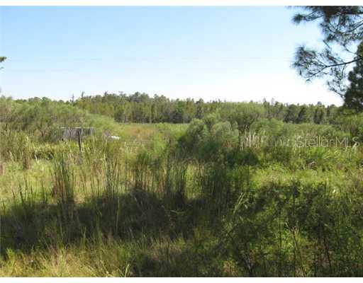 6311 S Fork Ranch Dr., Clermont, FL 34714