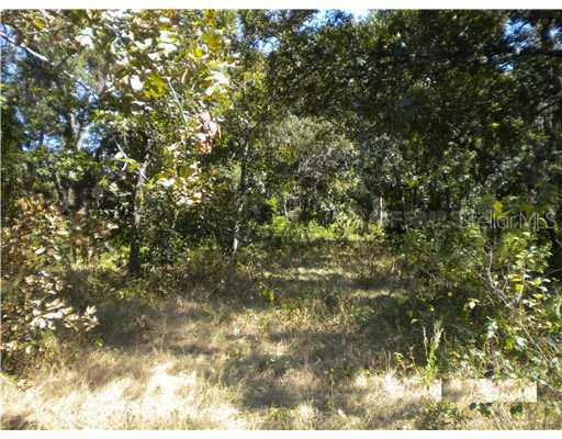 Splendid Oaks Ln, Astatula, FL 34705
