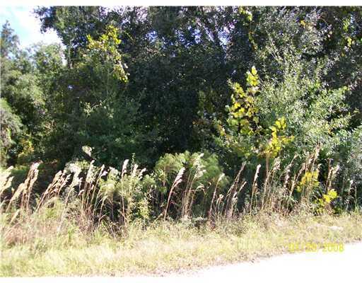 [Address Hidden by Seller], St Cloud, FL 34773