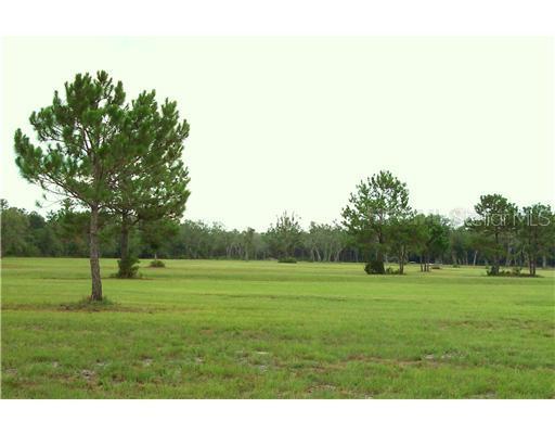 32652 Webbs Way, Sorrento, FL 32776