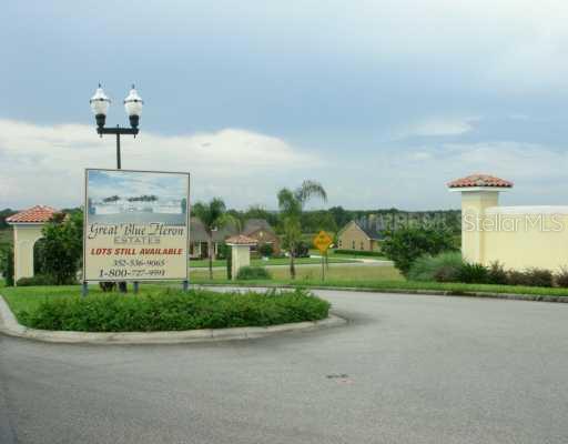 Great Blue Heron Lot 9 Blvd., Groveland, FL 34736