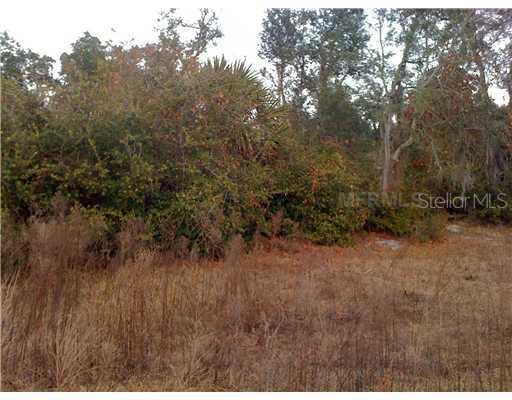 292 Hammock Oak Cir., Debary, FL 32713