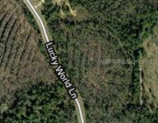 908 Hidden Palm Drive, Davenport, FL 33897