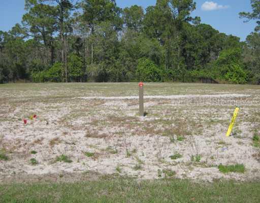 [Address Hidden by Seller], Golden Oak, FL 32836