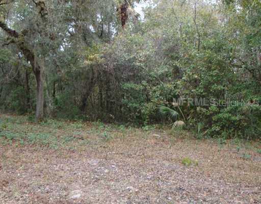 3350 Granada Blvd., Kissimmee, FL 34746