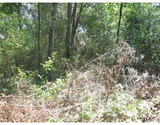 6534 Booth Ln., Orlando, FL 32810