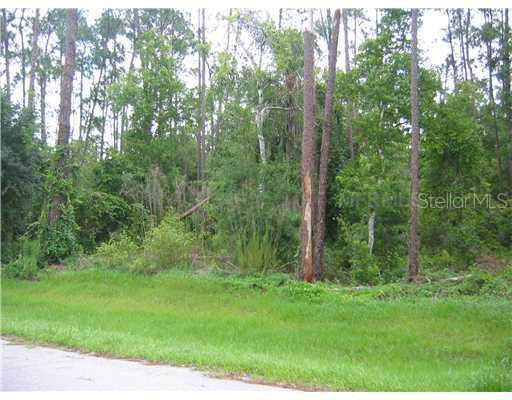 Robert's Island Rd., Orlando, FL 32832