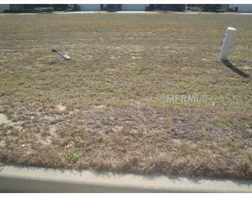 7408 Sparkling Ct., Reunion, FL 34747