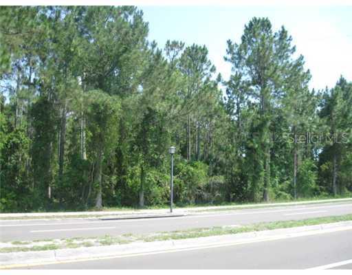 Parcel 1f Lockwood, Oviedo, FL 32765