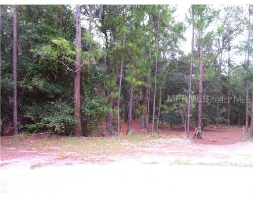 Deep Forest Ct., Other, FL 32832