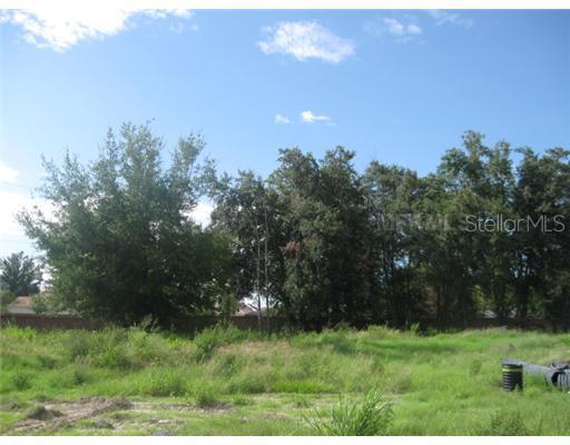 1409 Maravillosa Loop, Windermere, FL 34786
