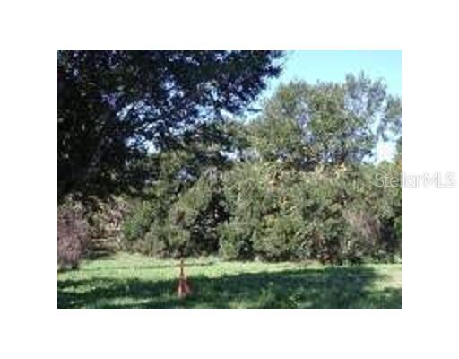 9254 Windy Ridge Rd., Windermere, FL 34786