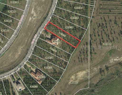 Lot 293 Vinci Way, Montverde, FL 34756