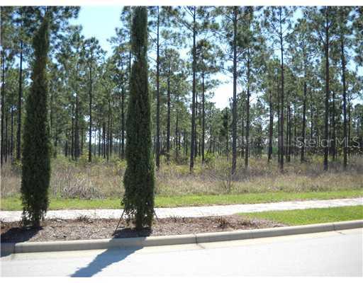 Vinci Way, Montverde, FL 34756