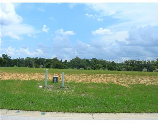 1153 Castle Pines Ct., Reunion, FL 34747