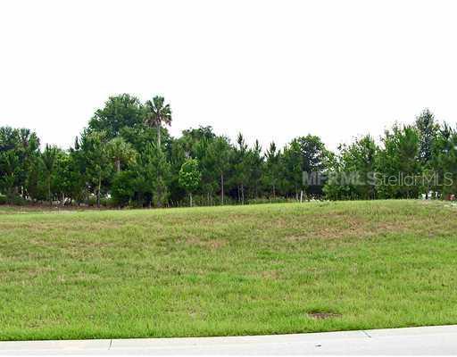 30134 Bretton Loop, Mount Dora, FL 32757