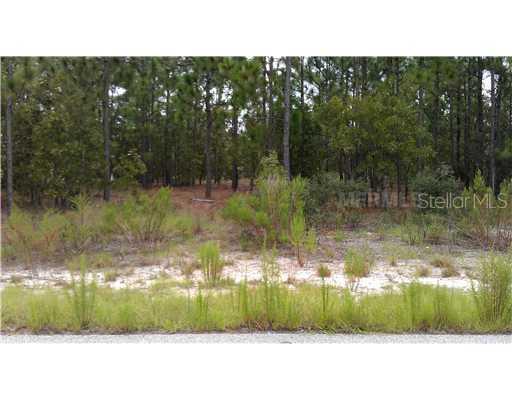 11319 Newington Ave., Spring Hill, FL 34609