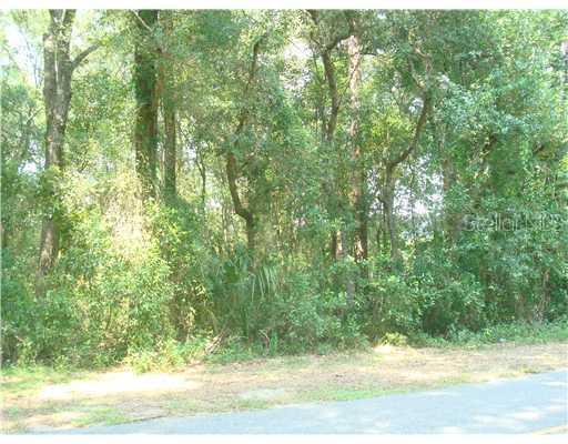 Sackamaxon Dr., Sorrento, FL 32776