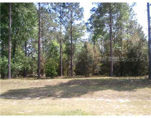 Deep Springs Loop, Eustis, FL 32736