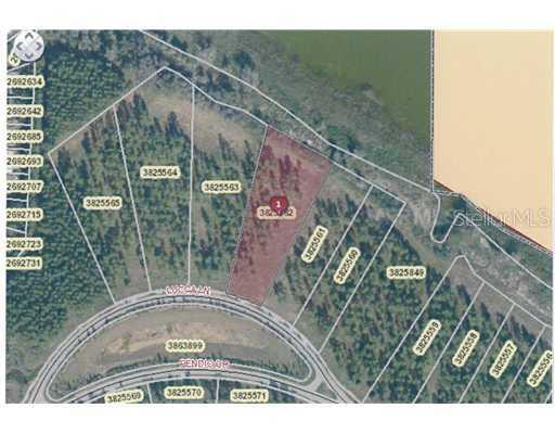 Lucca Ln., Montverde, FL 34756