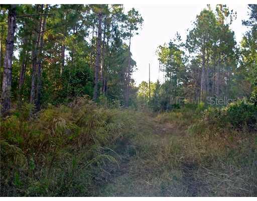 Magnolia Rd., New Smyrna Beach, FL 32168