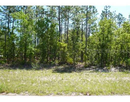 17115 SW 44th Cir., Ocala, FL 34473