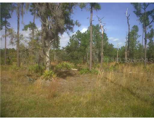 Pekinese Avenue, Saint Cloud, FL 34771