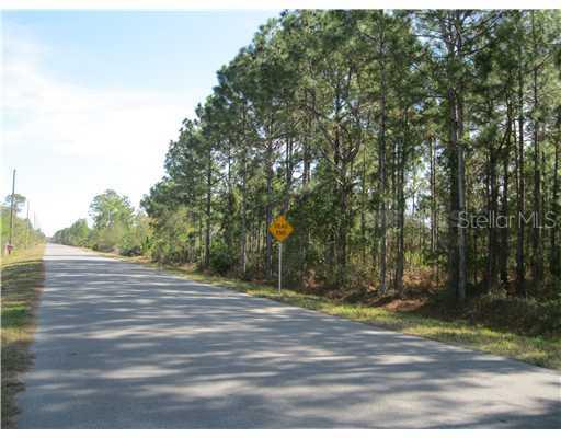 Starry St., Other, FL 32833