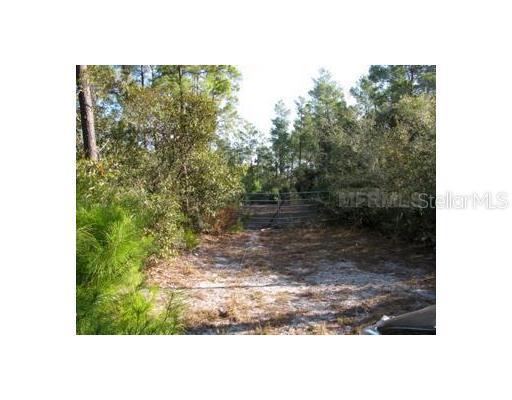 Abalone Dr., Eustis, FL 32736