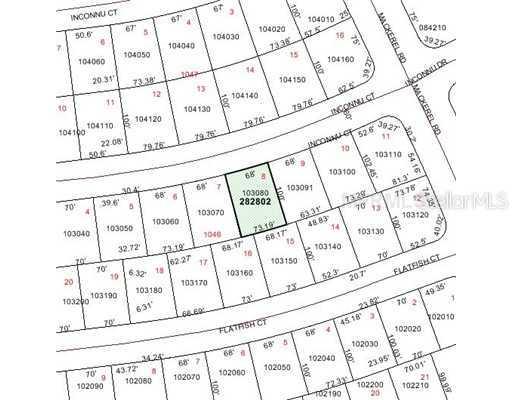 Inconnu Ct., Poinciana, FL 34759