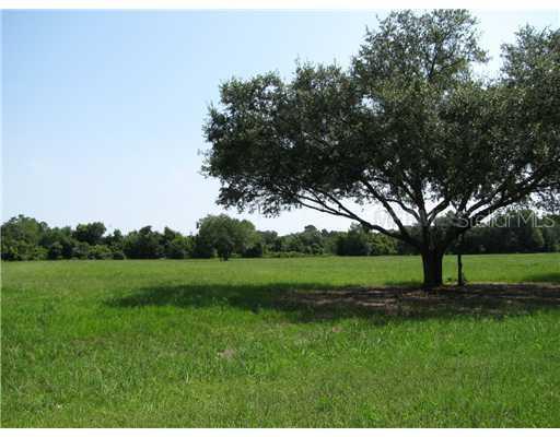 Jones Road, Saint Cloud, FL 34771