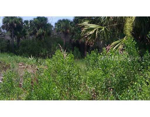 3930 E 46 Sr, Geneva, FL 32732