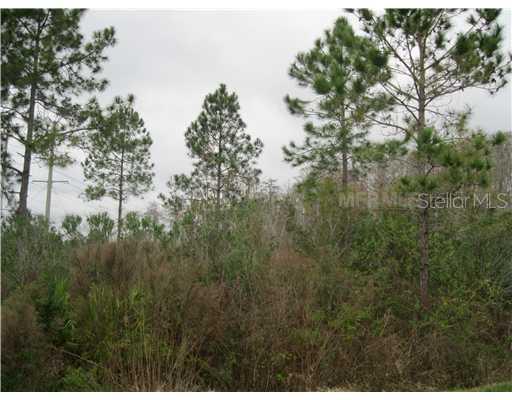 Deen, Davenport, FL 33897