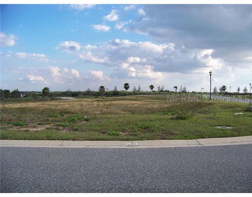 Fringe Tree Dr., Winter Haven, FL 33881