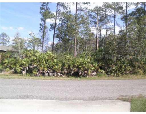Millshore Dr., Chuluota, FL 32766