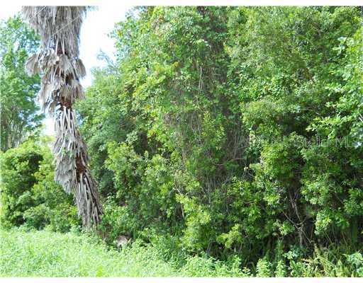 1433 N Fullers Cross Rd., Winter Garden, FL 34787