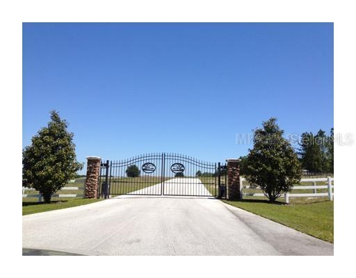 Savannah Ridge Ln., Winter Garden, FL 34787