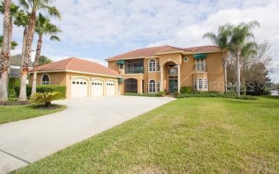 14441 Isleview Dr., Winter Garden, FL 34787